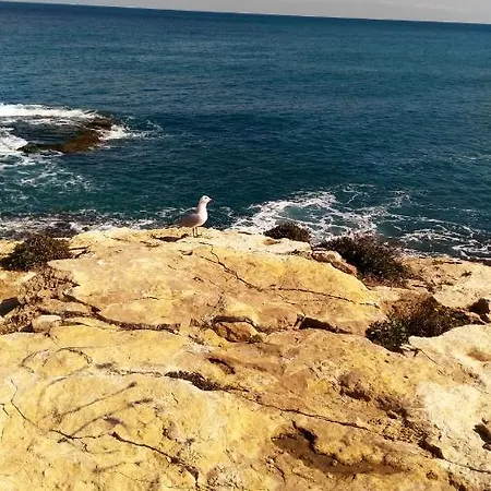 アパート Modern In With Terrace - 58 M² *