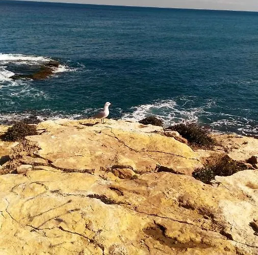 Apartamento Modern In With Terrace - 58 M² *